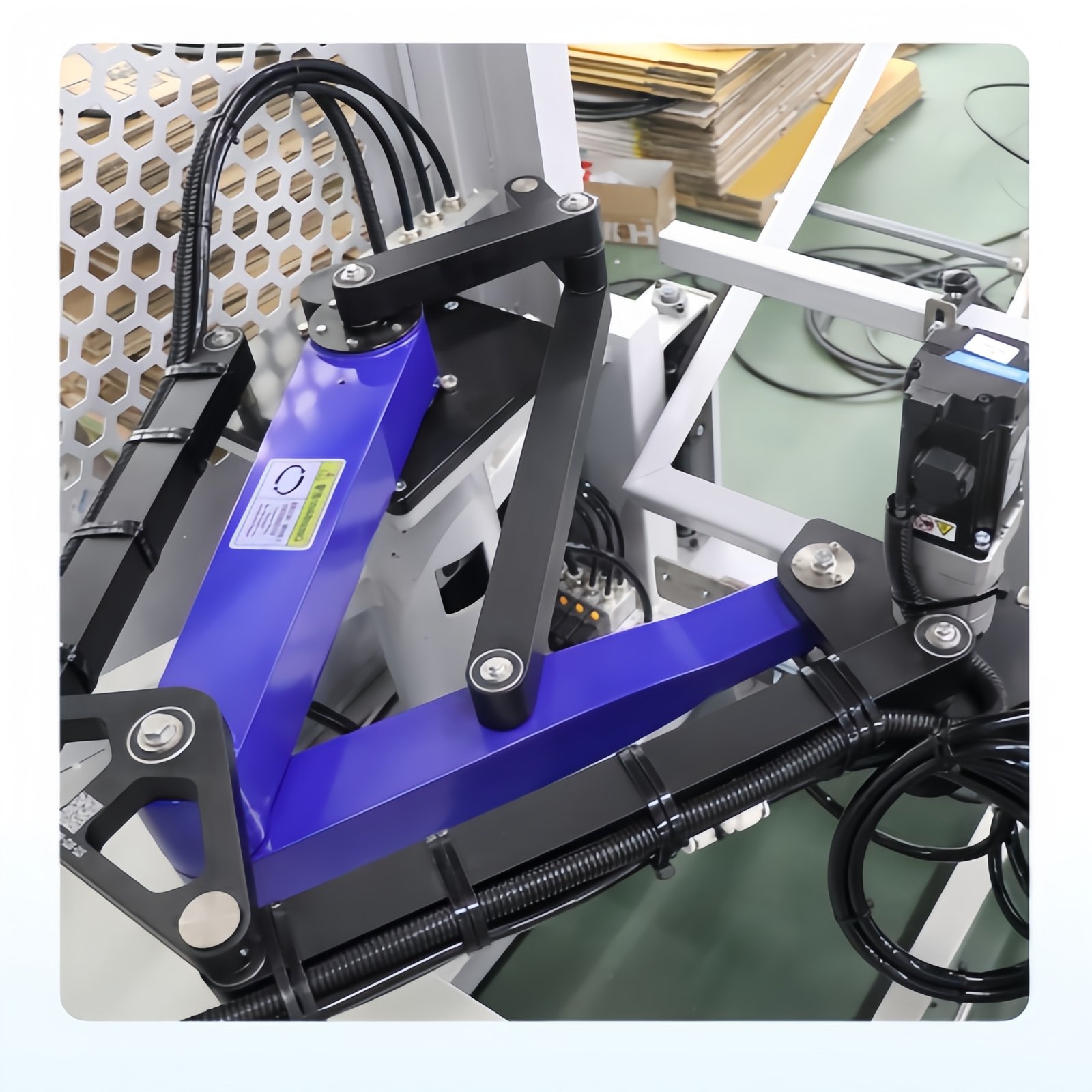 Case Erector and Sealer Machines: Ultimate Guide, Buying Tips & Top 5 Applications(2024)